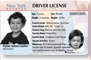 3 Years license-dylan